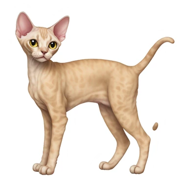 Devon Rex Full Body sticker