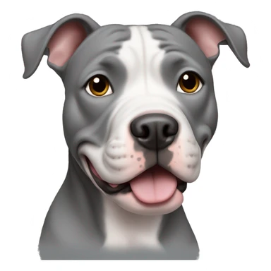 Gray pitbull no white sticker