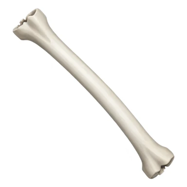 SKull island movie rib bones sticker