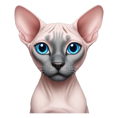 Pink/grey sphynx cat with blue eyes and black nose sticker