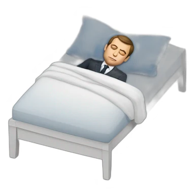 Macron-sleep sticker
