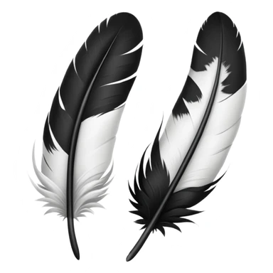 2 Black and White feathers sticker