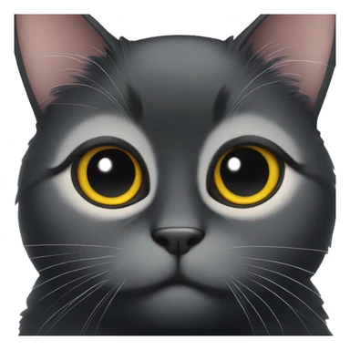 black cat dumb big eyes sticker