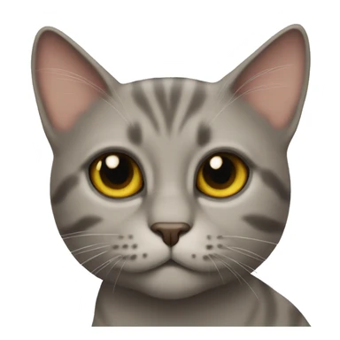Cat wiskey sticker