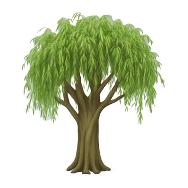 A willow tree  sticker