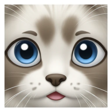 Ragdoll with good sticker