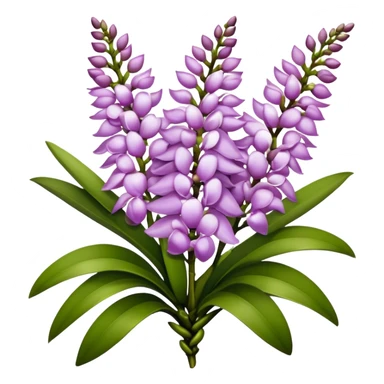 big bouquet Rhynchostylis Orchid, stem, leaf, luxuriant sticker