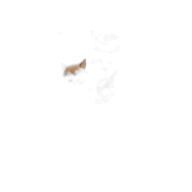 angry scary fox sticker