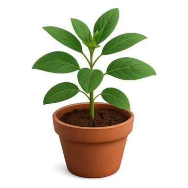 Plantare senza sfondo sticker