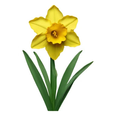 daffodil flowers sticker