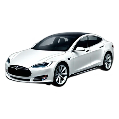 tesla car facing camera sticker