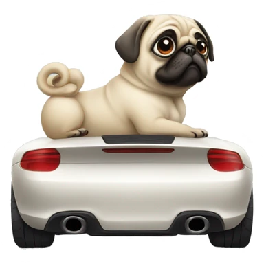 Pug in Porsche car sticker