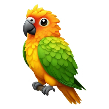 Sun conure bird with a bow on top of its head sticker