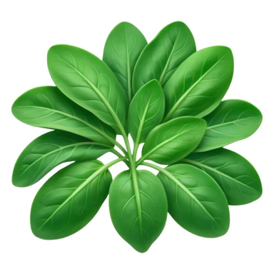 small handful of fresh baby spinach leaves, vibrant green color, smooth oval shapes, delicate veins, slight natural curl, soft slightly glossy surface, tender and fresh, no bowl, no water droplets, no packaging, soft lighting, subtle shadows, emoji scale sticker