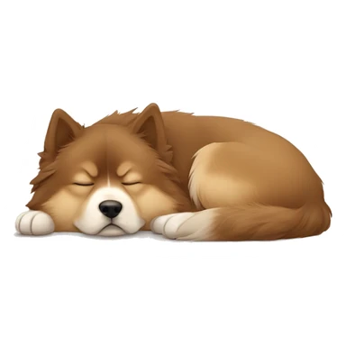 Finnish Lapphund Brown and light brown sleeping  sticker