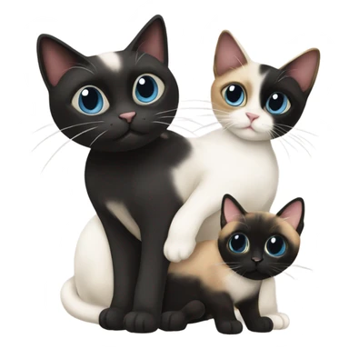 A Siamese cat with a calico cat with a black cat with white paws sticker