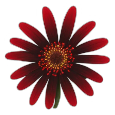 Red and black flower made of web sticker