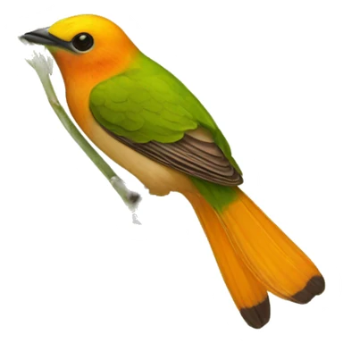 A single focused Butea monosperma without stem with vibrant colour sticker