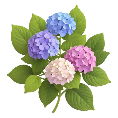 Highly detailed realistic hydrangea flower showing natural texture of many small flowers in a cluster, subtle color variations, and authentic leaf structure sticker