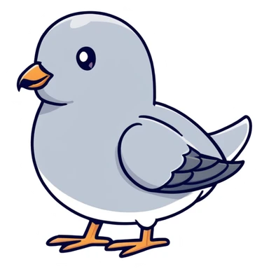 a gray dove bird, güvercin sticker