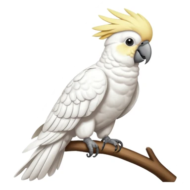 Cockatoo sticker