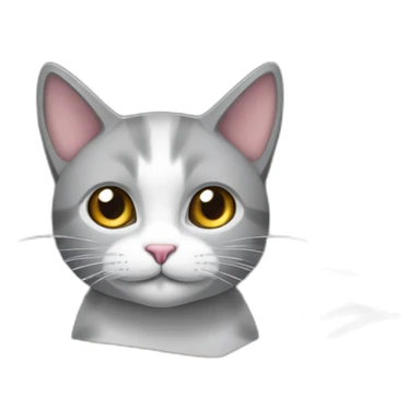 Gato gris y blanco dentro caja de carton sticker