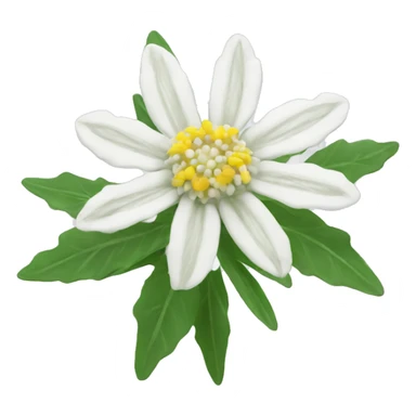edelweiss sticker