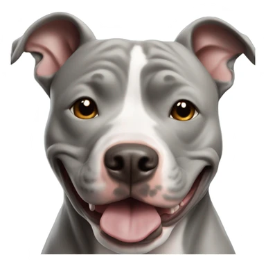 Grey male large pit bull smiling sticker