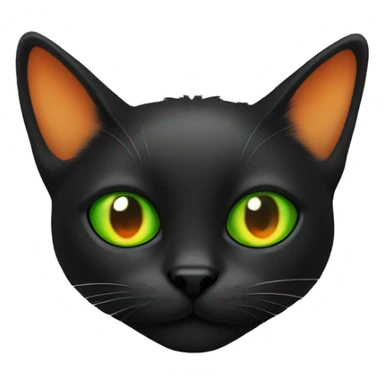 Black cat in orange spots with one left eye green sticker