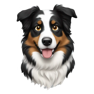 Black and white Australian shepherd dog  sticker