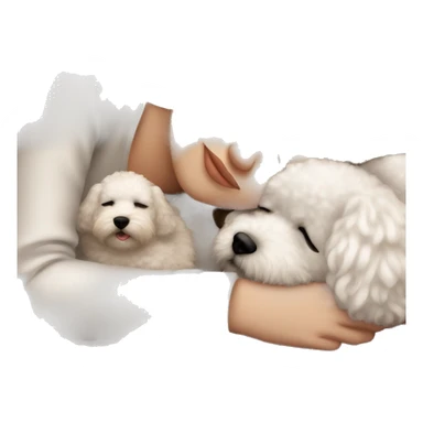 White girl brown hair sleeping with Little Bichon sticker