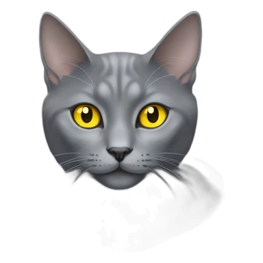 fluffy grey korat breed cat with yellow eyes black pupils, sleeping female sticker