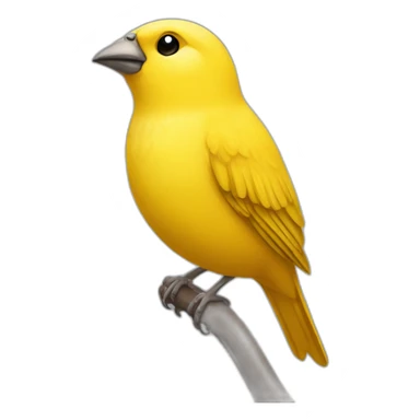 canary bird sticker