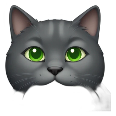 happy dark grey fat cat with green eyes sticker