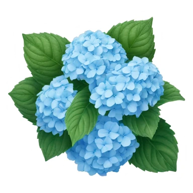Light blue hydrangea ￼ sticker