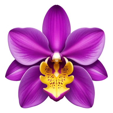 Purple orchid sticker