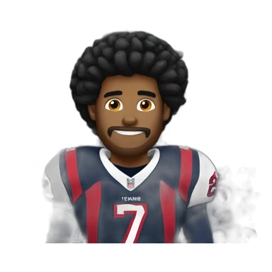 Houston texans sticker