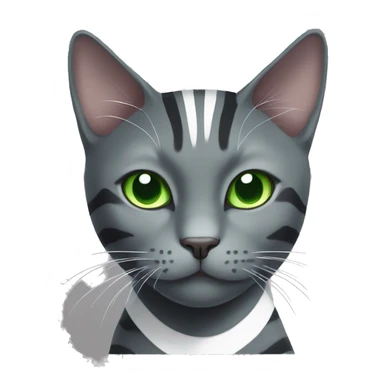 gray cat with white stripes and green eyes, black cat with white sticker