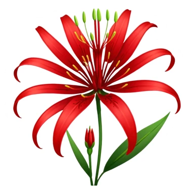 Red spider lily sticker
