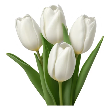 White tulips sticker