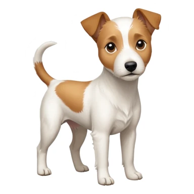 a full body slightly chubby white parson russell terrier looking dog the size of a kelpie with light brown long ears and a light brown patch on one eye and a large snout sticker