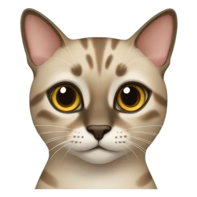 Tabby Siamese cat sticker