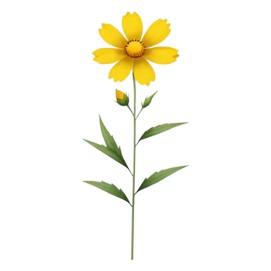 single Coreopsis, straight stem sticker