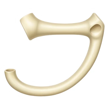 Hueso de la cadera sticker