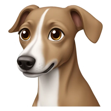 Grey brown Formosa mountain dog and Italian greyhound mix sticker