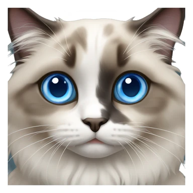 Ragdoll cat with blue eyes sticker