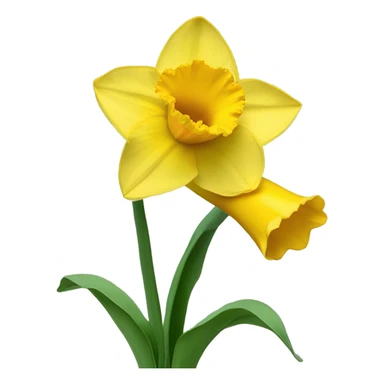 Daffodil sticker