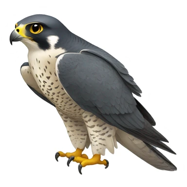 Peregrine Falcon sticker