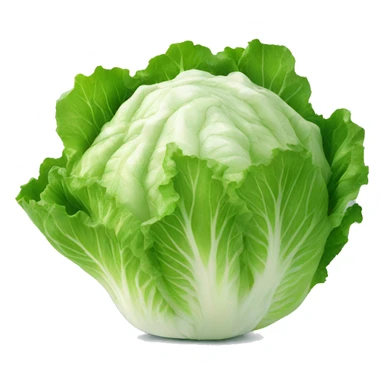  iceberg lettuce sticker