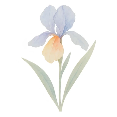 iris flower with stem and leaves, luminous colors, gentle blending, realistic botanical illustration sticker